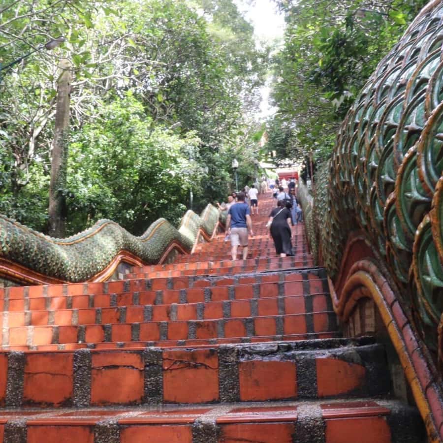 From Chiang Mai: Temples, Sticky Waterfall, and Orchid Farm - What to bring and how to dress