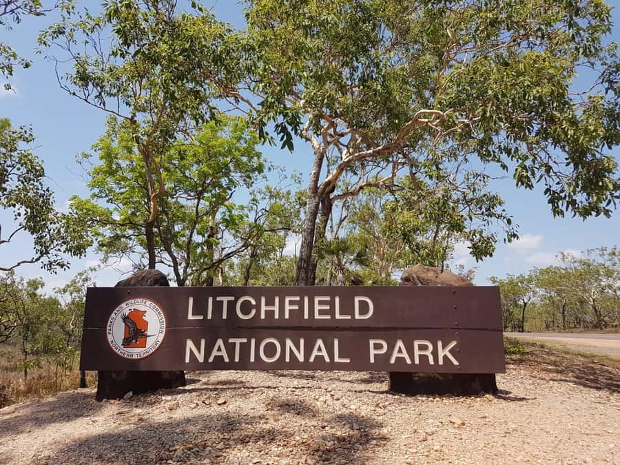 From Darwin: Litchfield National Park & Waterfalls Day Trip - The five things I would know first