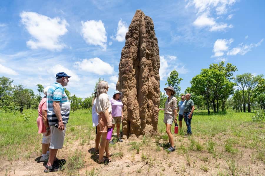 From Darwin: Litchfield National Park & Waterfalls Day Trip - Why this makes a strong Darwin day trip