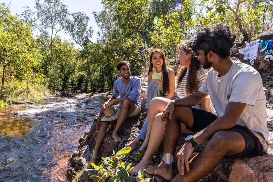 From Darwin: Litchfield National Park & Waterfalls Day Trip - Magnetic Termite Mounds: a quick stop with a strange payoff