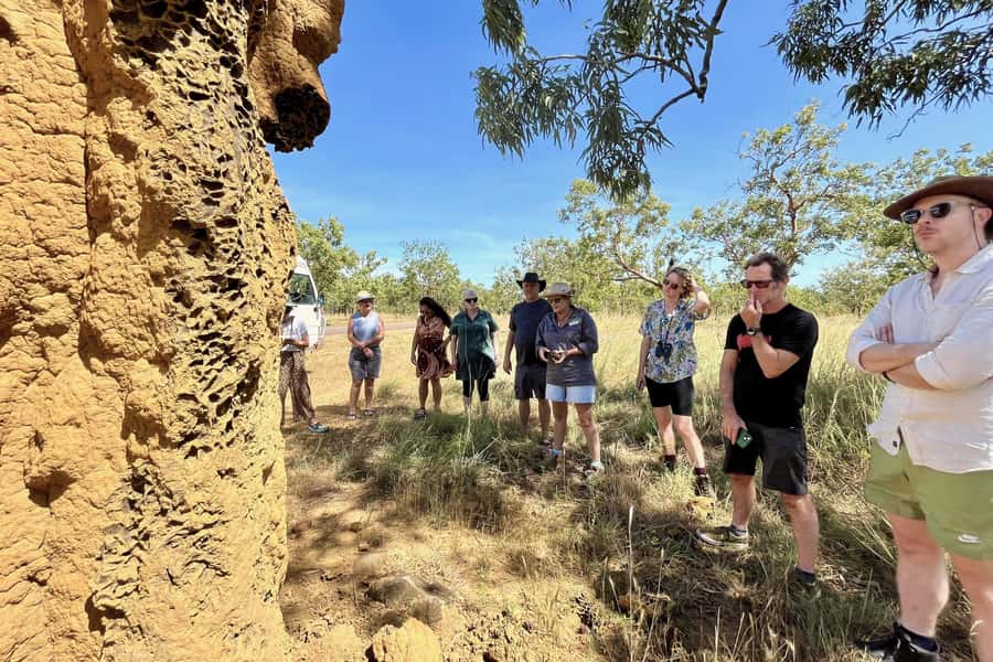 From Darwin: Litchfield National Park & Waterfalls Day Trip - The final Litchfield stops add variety