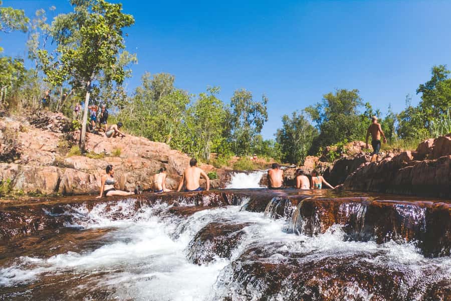 From Darwin: Litchfield National Park & Waterfalls Day Trip - What the $130 price really covers