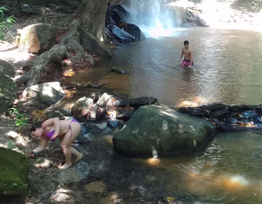 From Diani: Full Day Shimba hills tour with Sheldrick Falls - What makes Shimba Hills different from a typical safari
