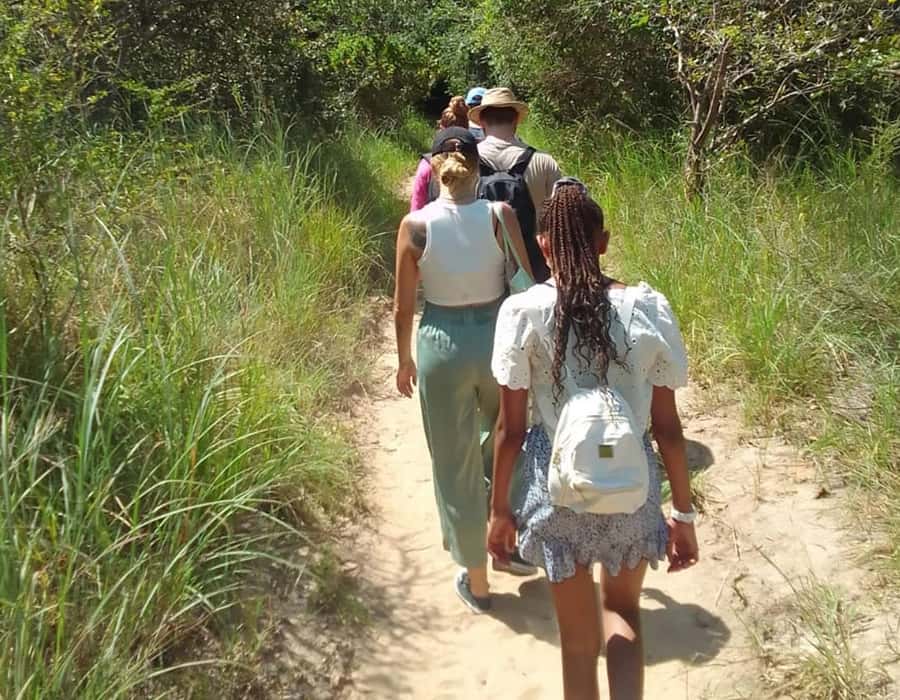 From Diani: Full Day Shimba hills tour with Sheldrick Falls - The 8:00 AM game drive through forest and grassland