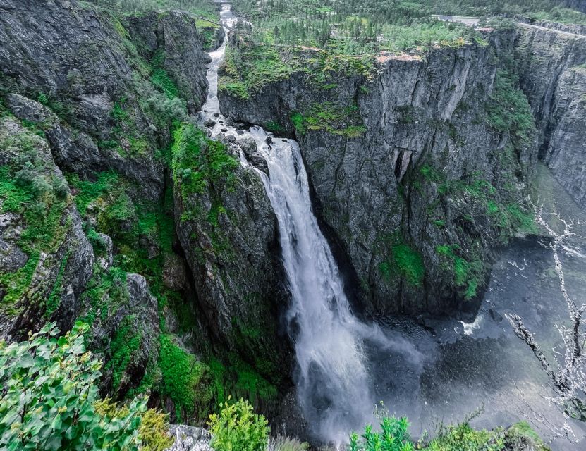 From Eidfjord: Vøringfossen Waterfall Nature Tour with Guide - Who should book this tour?