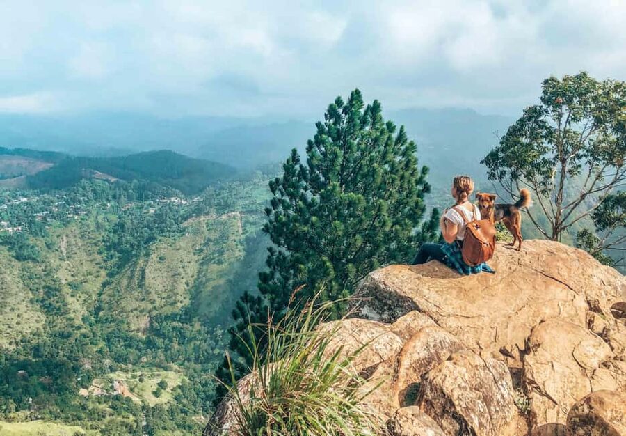 From Ella : Waterfalls, Nine Arch Bridge, Little Adam's Peak - The most useful things to know