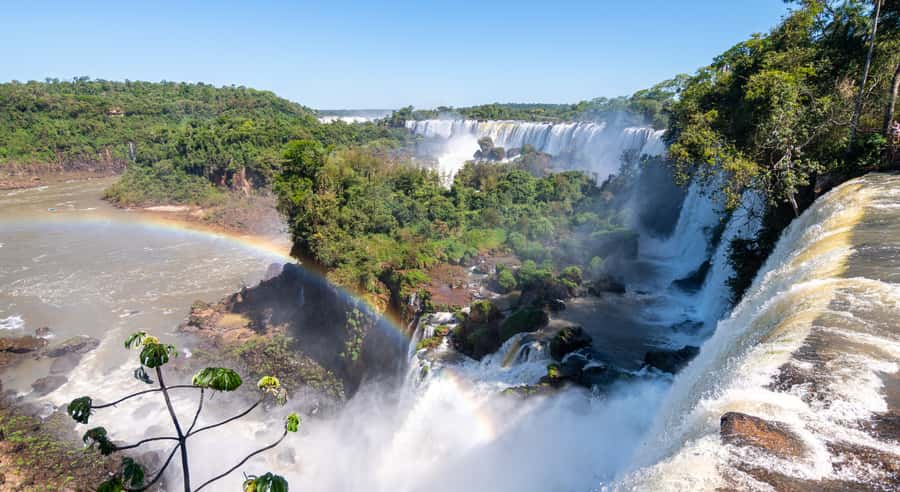 From Foz do Iguaçu: Argentinian Iguazu Falls with Ticket - Timing, food, and the return trip