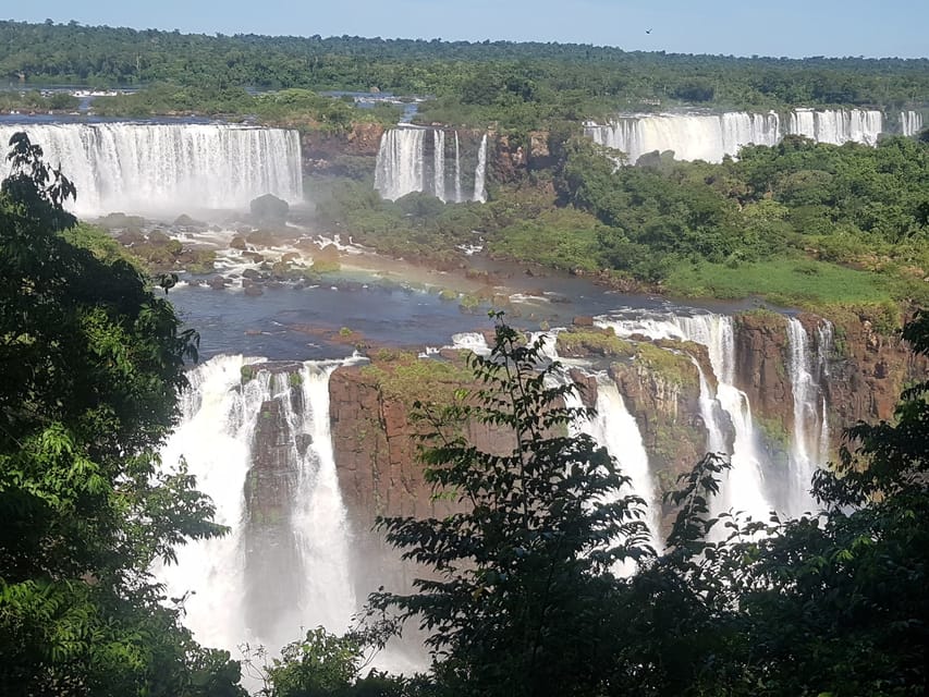 From Foz do Iguaçu: Brazilian Falls and Bird Park Tour - Who will enjoy this six-hour outing?