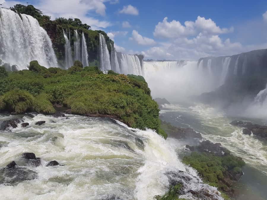 From Foz do Iguaçu: Brazilian Falls and Bird Park Tour - Why this combination works so well
