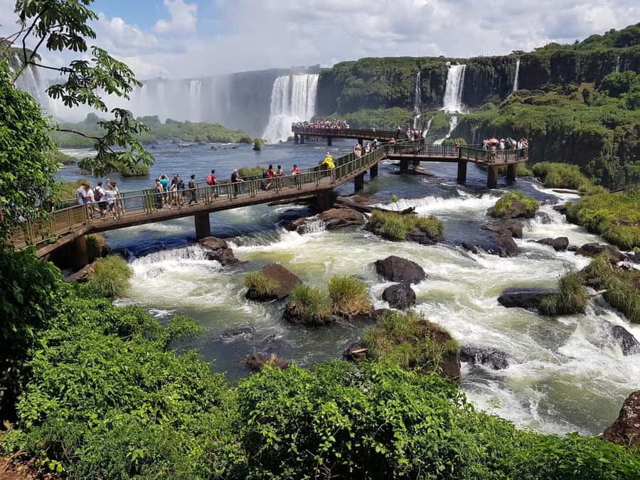 From Foz do Iguaçu: Brazilian Falls and Bird Park Tour - The Brazilian side gives you the grand view