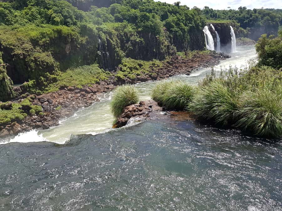 From Foz do Iguaçu: Brazilian Falls and Bird Park Tour - What the guides add to the day