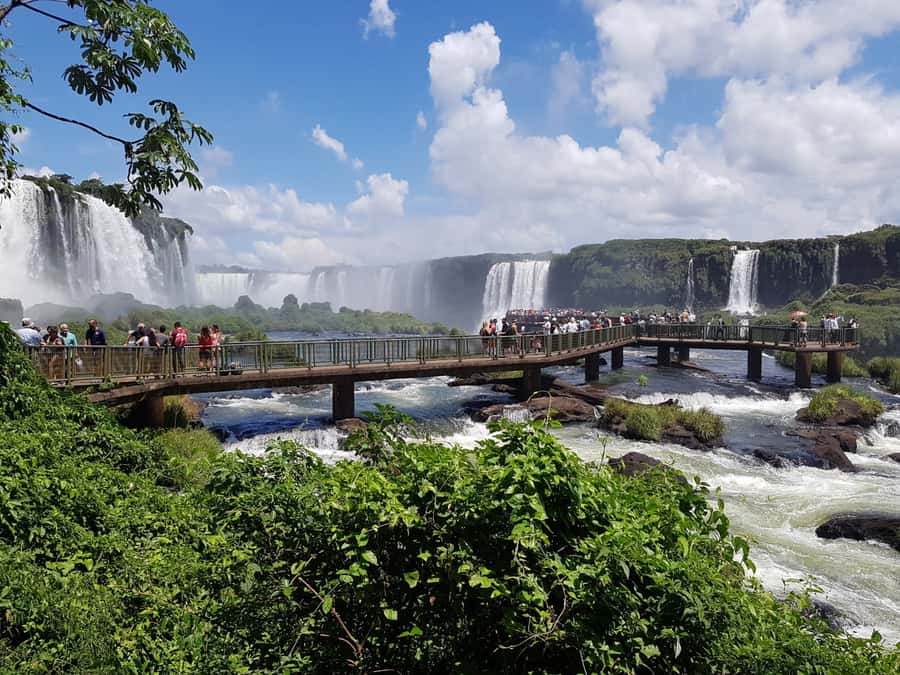 From Foz do Iguaçu: Brazilian Falls and Bird Park Tour - Starting at the Bird Park