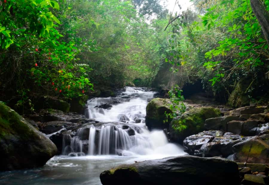 From Foz do Iguaçu: Secret Falls Adventure - Key points at a glance