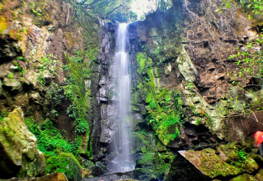 From Foz do Iguaçu: Secret Falls Adventure - Starting on Rua Manêncio Martins