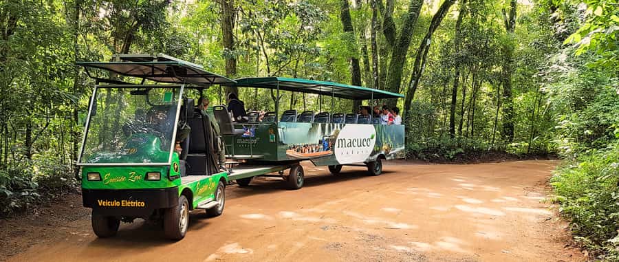 From Foz do Iguazu: Brazil Iguazu Falls & Macuco Safari Boat - What to bring for a day built around water