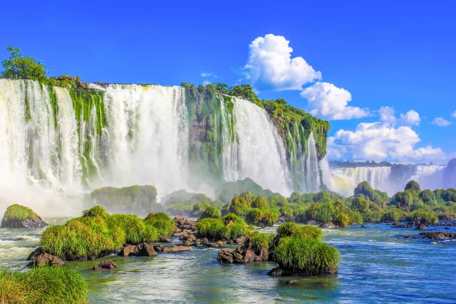 From Foz do Iguazu: Brazil Iguazu Falls & Macuco Safari Boat - The 3-kilometer electric ride through Atlantic Forest