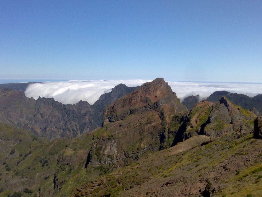 From Funchal: West Madeira Waterfalls and Fanal Forest Tour - Véu da Noiva, São Vicente, and the north coast