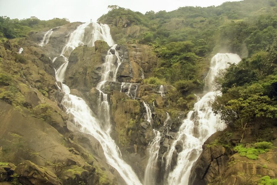From Goa: Dudhsagar Waterfalls & Plantation Tour - FAQ