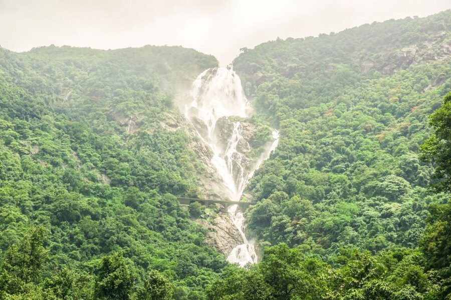 From Goa: Dudhsagar Waterfalls & Plantation Tour - Leaving Goa’s coast for the Western Ghats