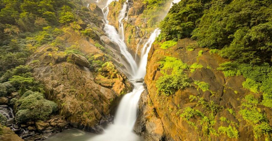 From Goa: Dudhsagar Waterfalls & Plantation Tour - One hour beside the Sea of Milk
