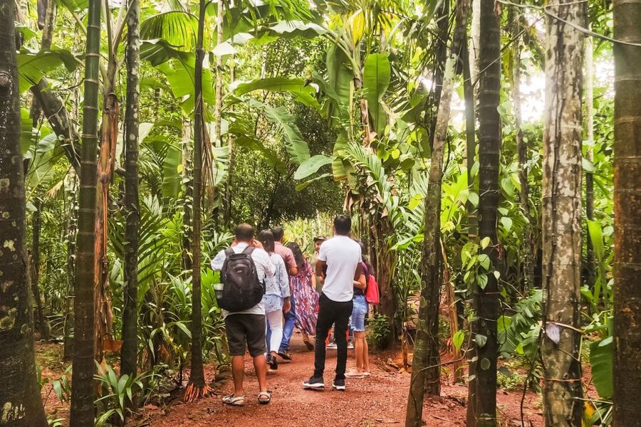 From Goa: Dudhsagar Waterfalls & Plantation Tour - Booking and cancellation details