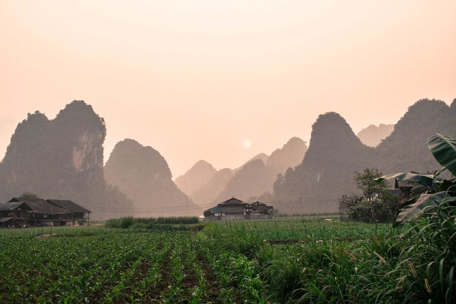 From Hanoi: 3-Day Ba Be Lake & Ban Gioc Falls Private Tour - Who should book this tour?
