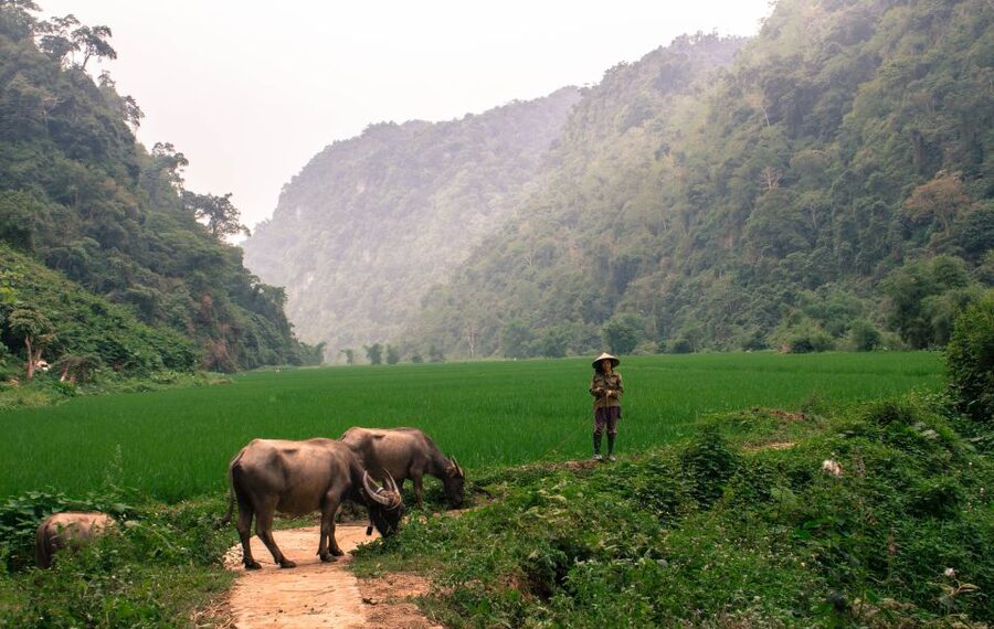 From Hanoi: 3-Day Ba Be Lake & Ban Gioc Falls Private Tour - Private transport and guide support