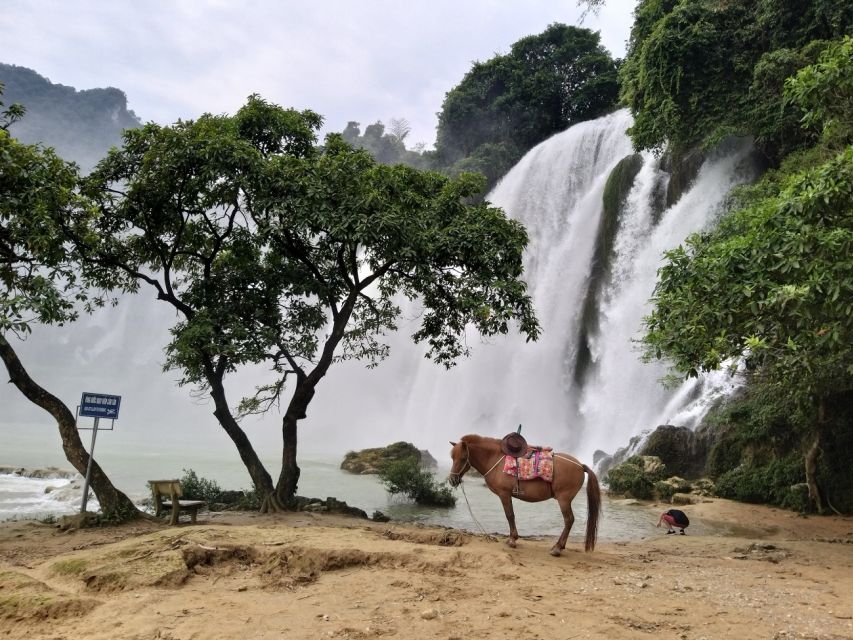From Hanoi: Ban Gioc Waterfalls 2-Day 1-Night Tour - The guide and driver can shape the experience