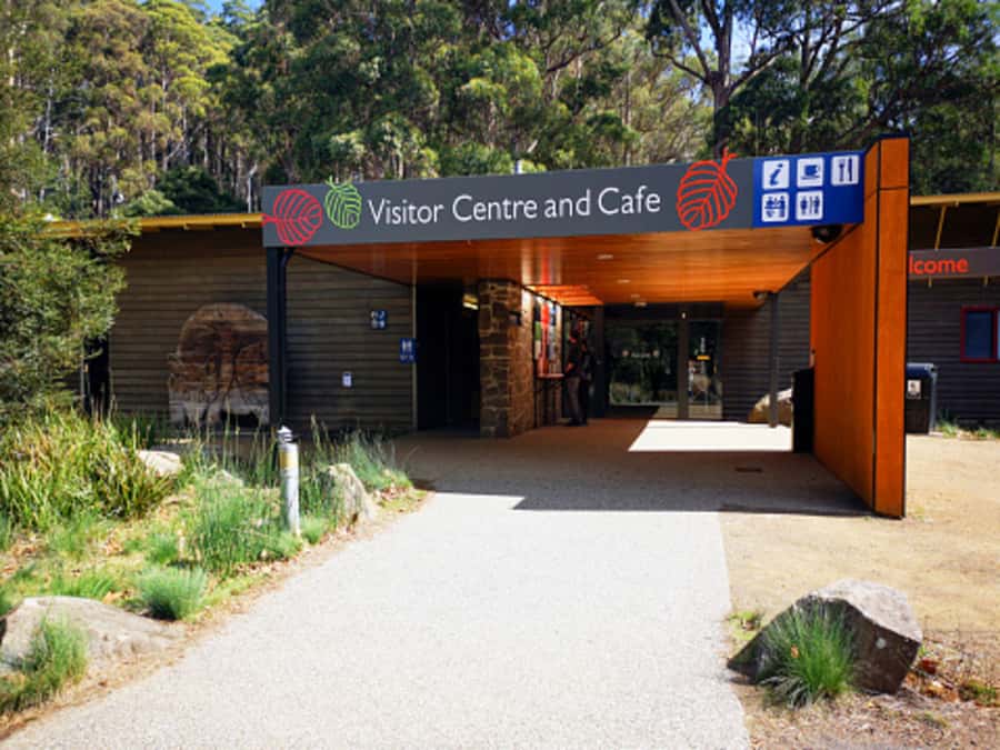 From Hobart: Mt. Field National Park and Russell Falls - What makes this Hobart day trip worth considering