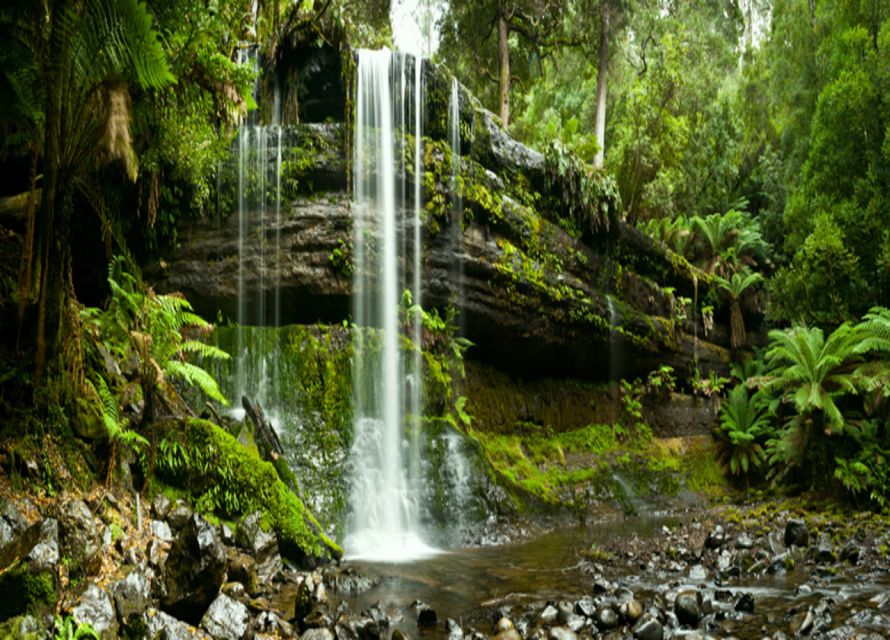 From Hobart: Mt. Field National Park and Russell Falls - Is the $127 price good value?
