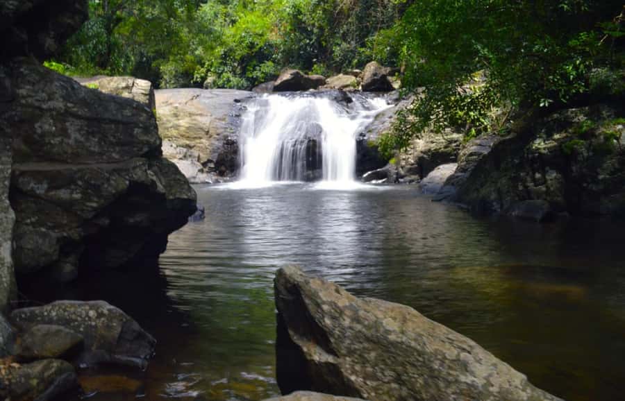 From Hua Hin: Pala U Waterfall and Huay Mongkol Temple Tour - Reaching the waterfall through the old forest