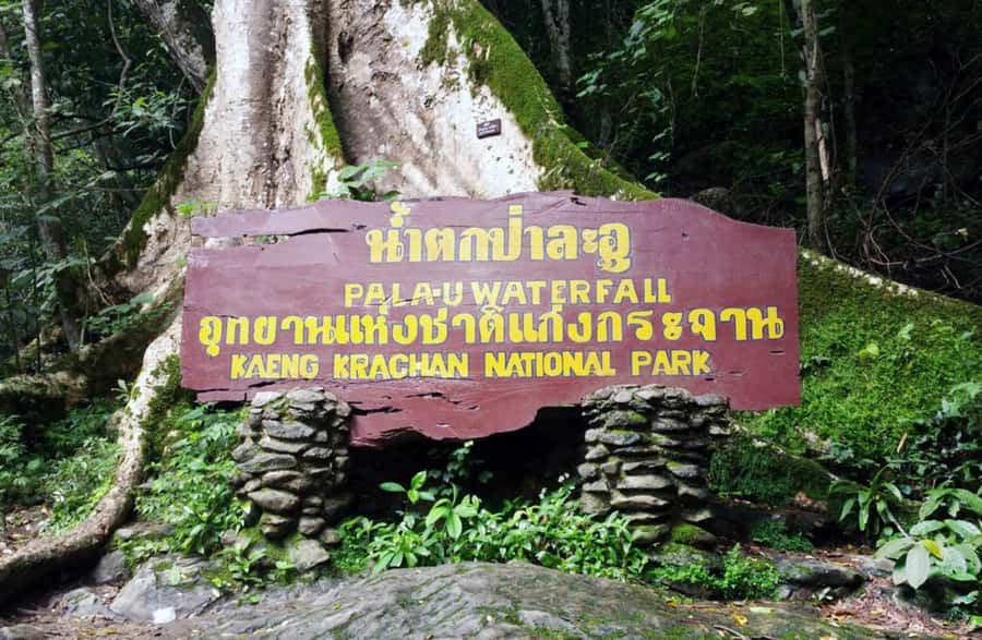 From Hua Hin: Pala U Waterfall and Huay Mongkol Temple Tour - Lunch and the return through Kaeng Krachan