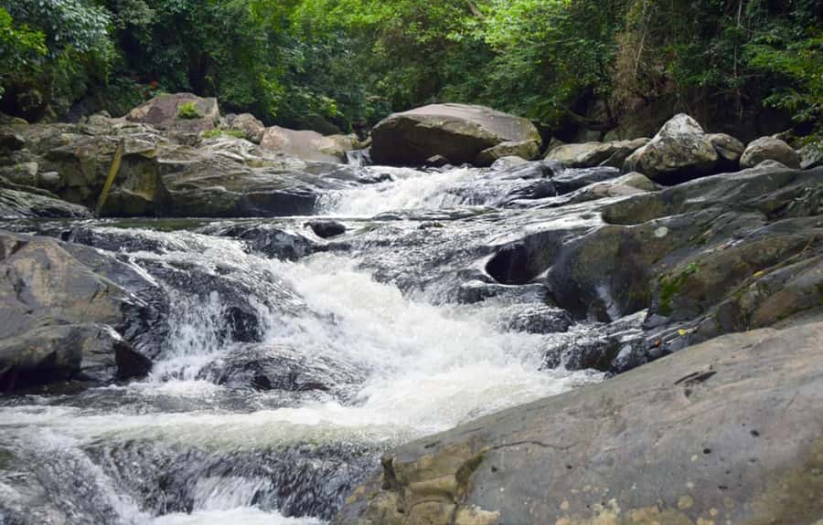 From Hua Hin: Pala U Waterfall and Huay Mongkol Temple Tour - Should you book the Pala U tour?