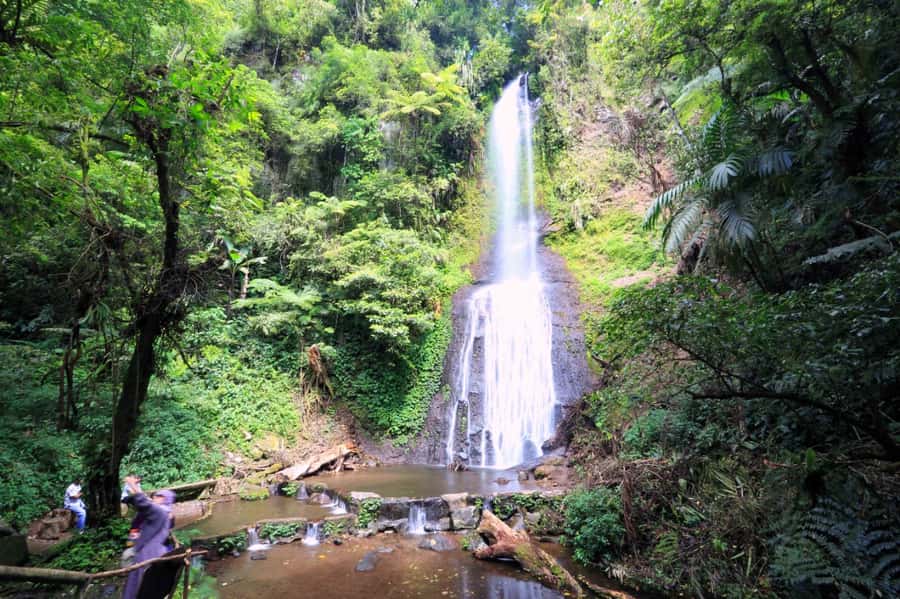 From Jakarta: Safari Park, Tea Plantation & Jaksa Waterfall - What this Jakarta day trip is really like