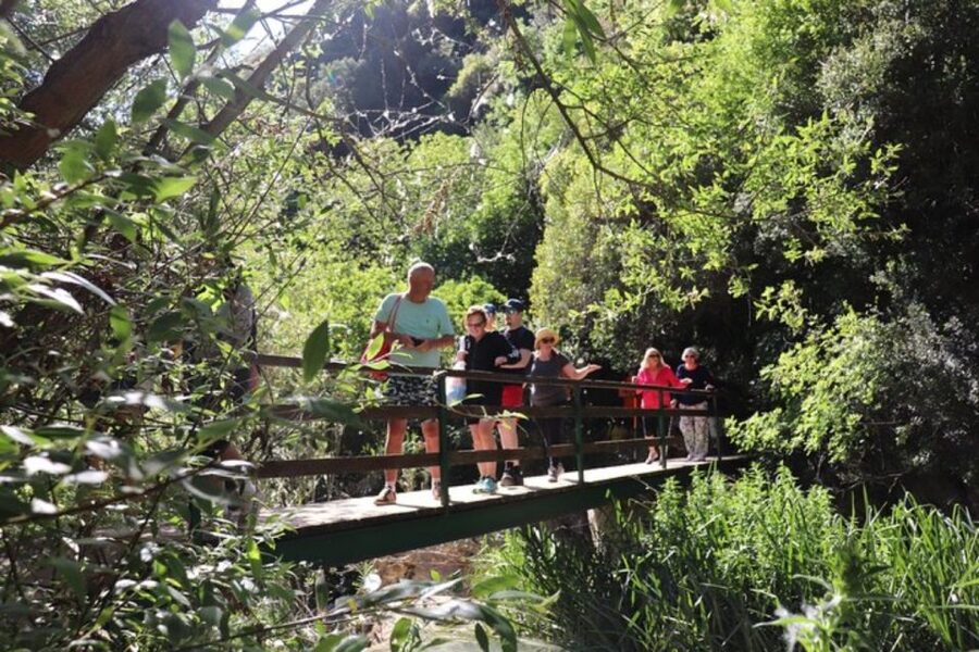 From Kalamata: Polylimnio Waterfalls Guided Hiking Tour - A local guide can shape the whole experience