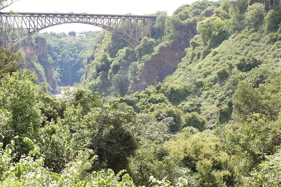 From Livingstone: Victoria Falls Guided Half-Day Tour - Key things to know before you book