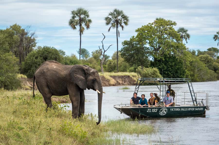 From Livingstone: Victoria Falls River Safari - The skipper adds context, not just directions