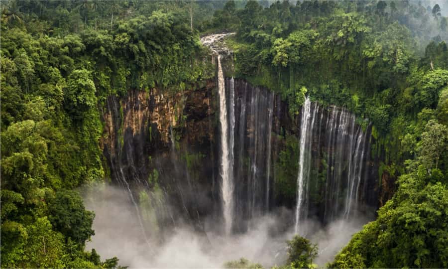 From Malang or Surabaya: Private Tumpak Sewu Waterfall Tour - The descent into Lumajang’s wet green forest
