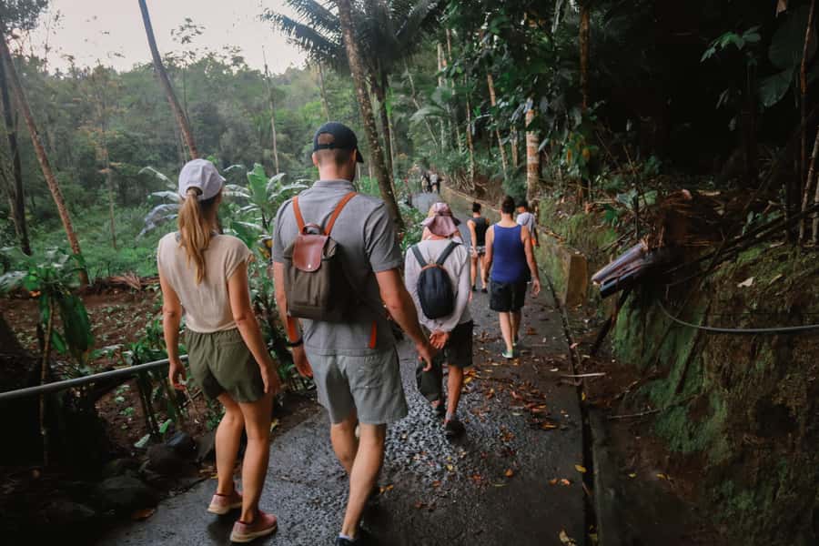 From Malang or Surabaya: Tumpak Sewu Waterfall Group Tour - Who should book this outing?