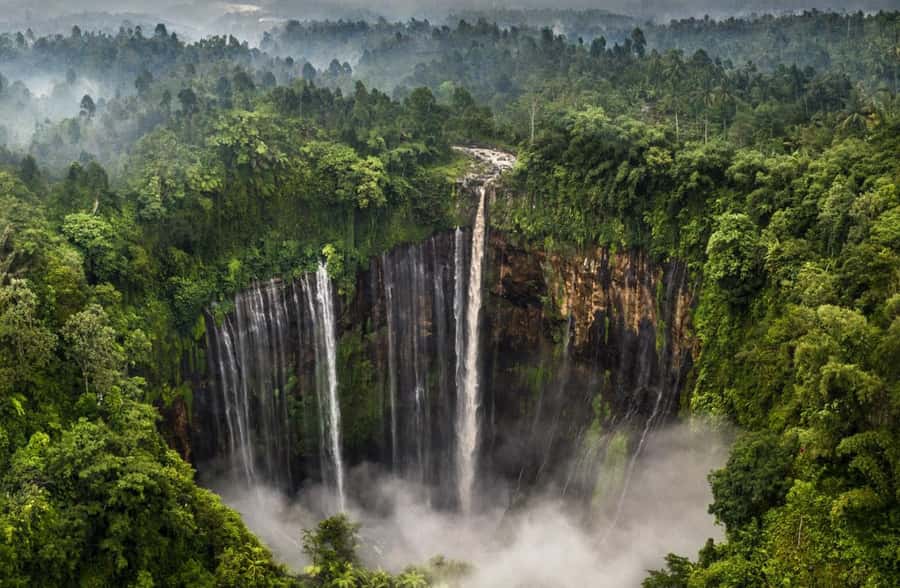 From Malang: Tumpak Sewu Waterfall Sharing Tour - Pickup in Malang and the early start