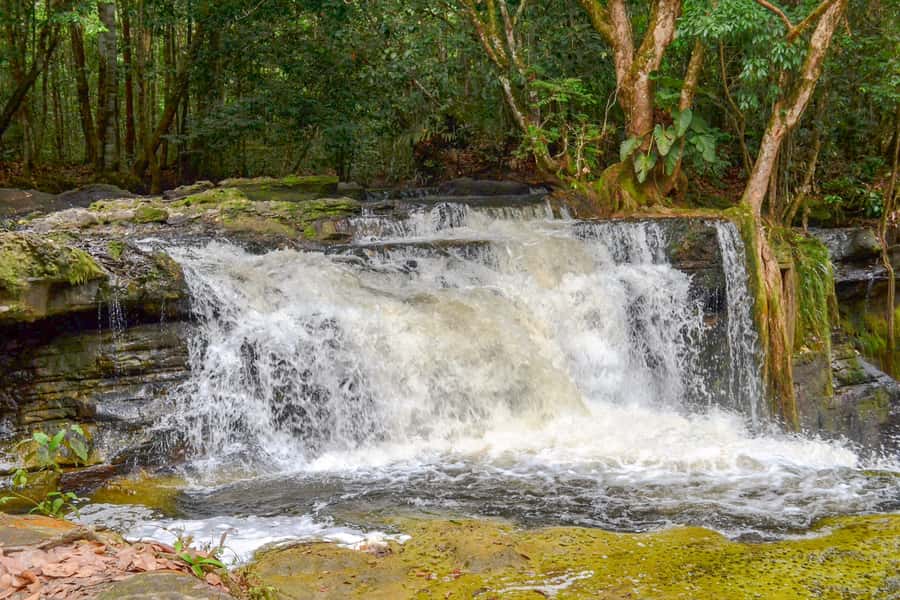 From Manaus: Presidente Figueiredo Waterfalls Daytrip - Who should book this day trip?