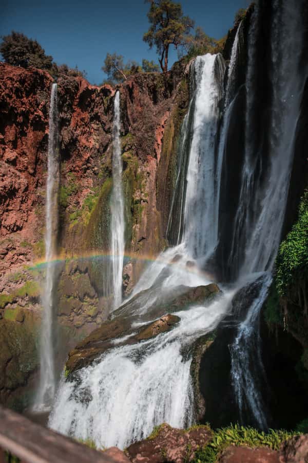 From Marrakech: A day Trip to Ouzoud waterfalls - The long road from Marrakech to Ouzoud