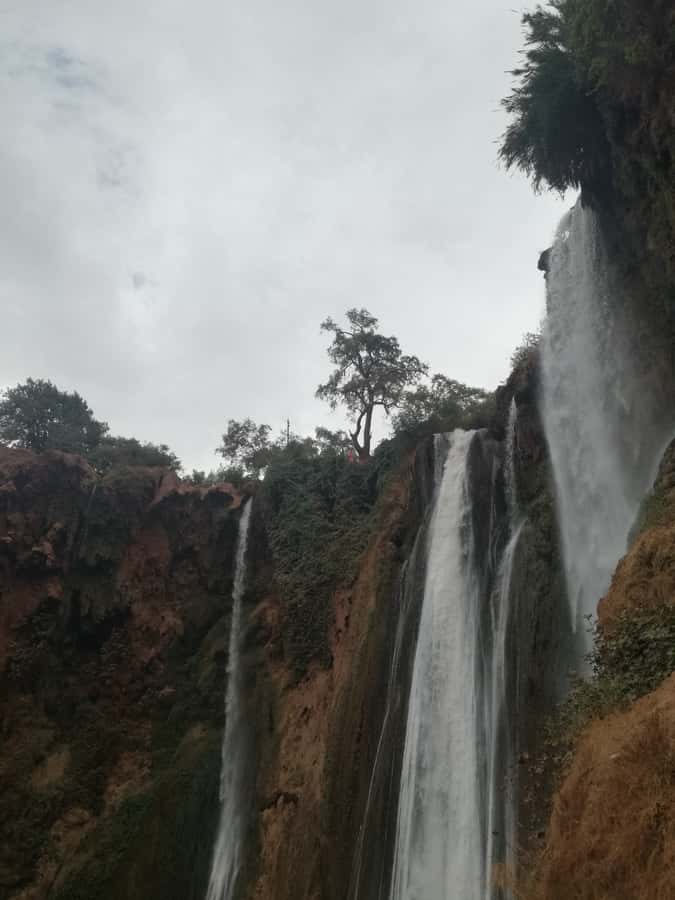 From Marrakech: A day Trip to Ouzoud waterfalls - Barbary macaques and the character of the area