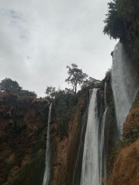 From Marrakech: A day Trip to Ouzoud waterfalls - Lunch in Ouzoud: useful, but not included