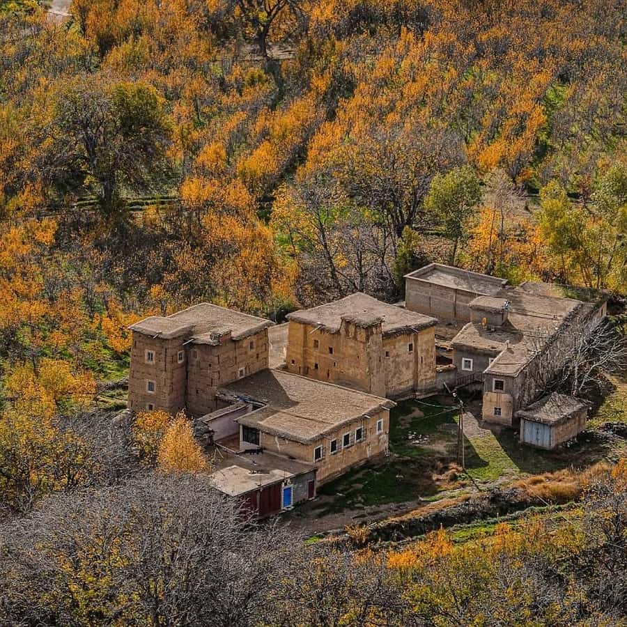 From Marrakech: Atlas Mountains & Berber Lunch - A homemade Amazigh meal in a traditional home