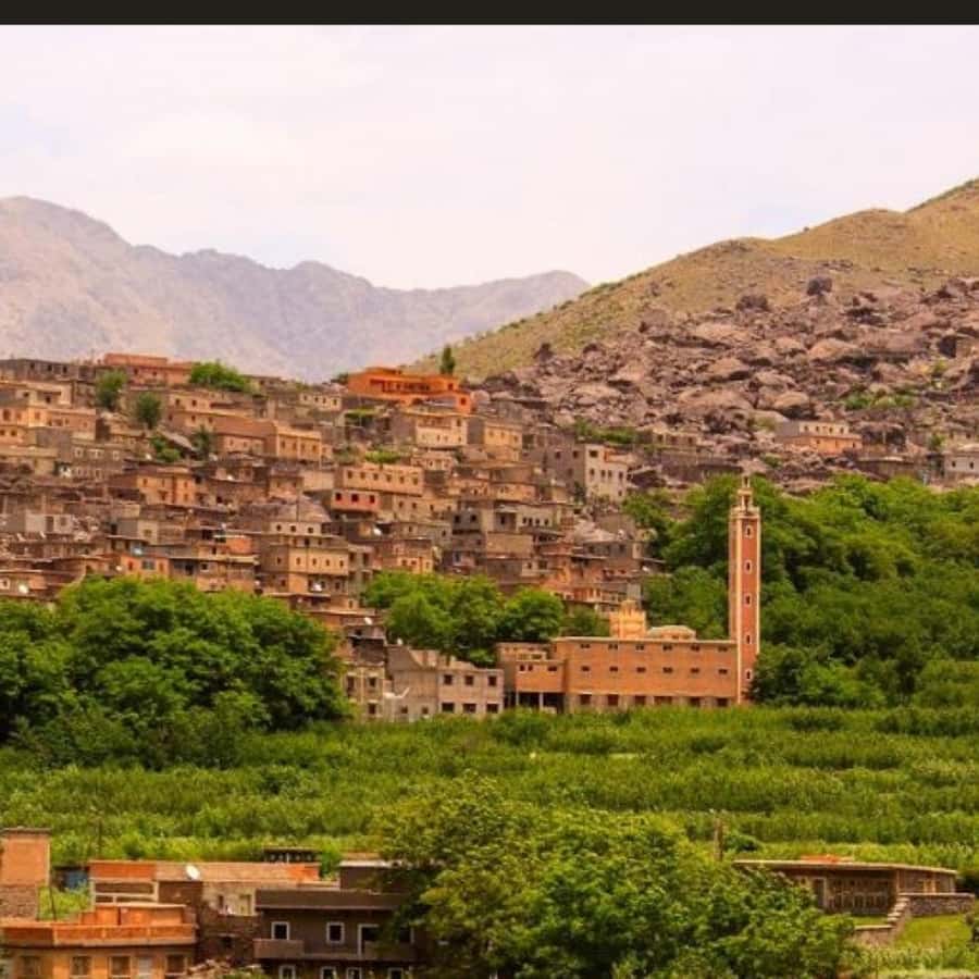 From Marrakech: Atlas Mountains & Berber Lunch - Who will enjoy this Atlas Mountains day trip?