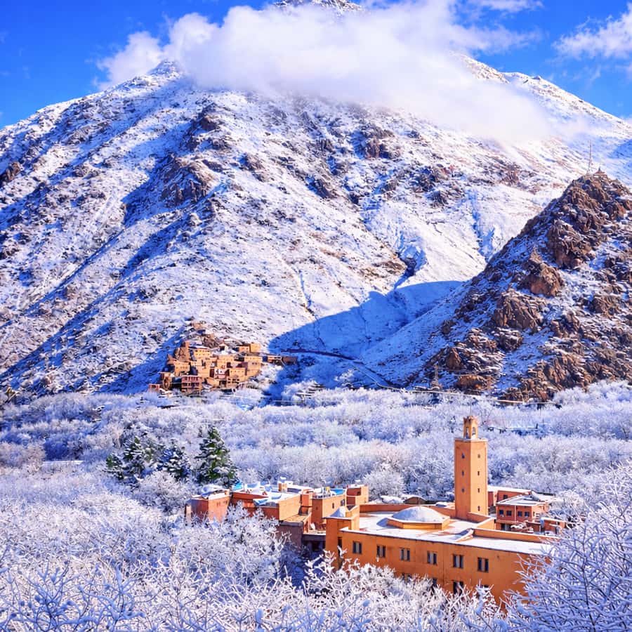 From Marrakech: Atlas Mountains & Berber Lunch - The argan cooperative adds a useful local stop