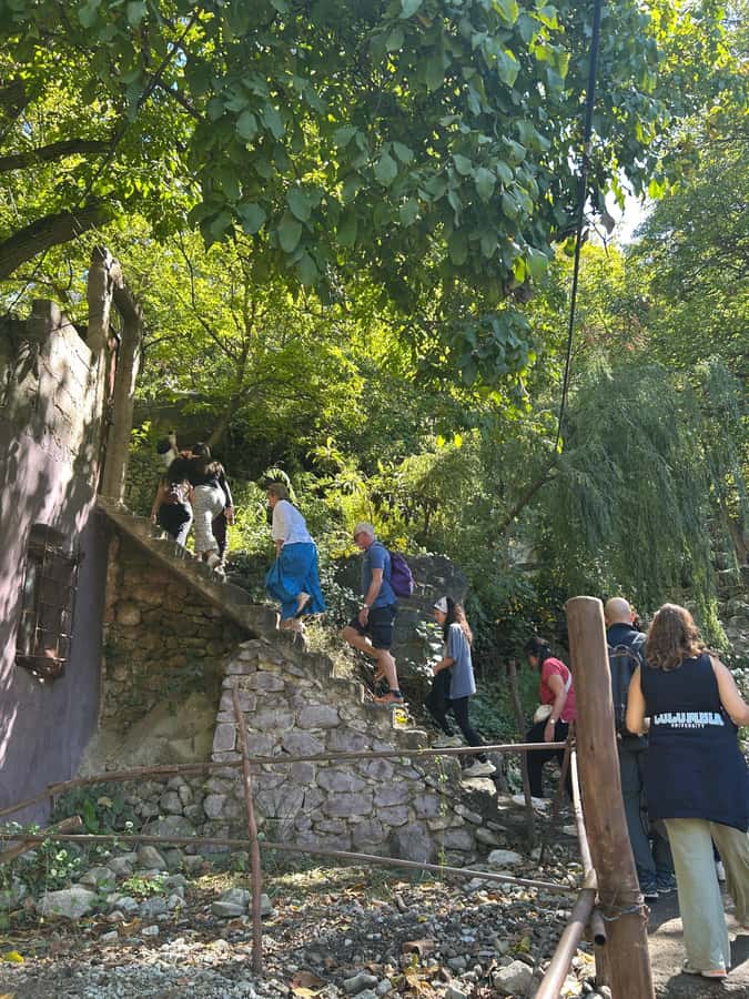 From Marrakech: Guided Ourika Valley with Waterfalls & Lunch - Key points at a glance