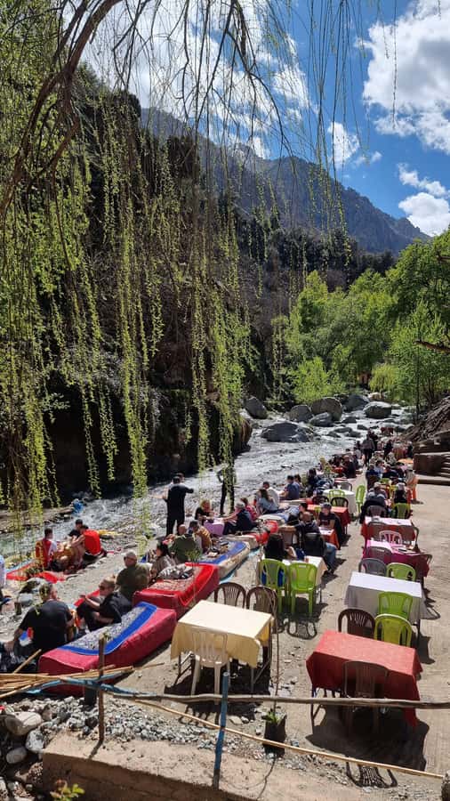 From Marrakech: Guided Ourika Valley with Waterfalls & Lunch - The return drive is long enough to plan your energy