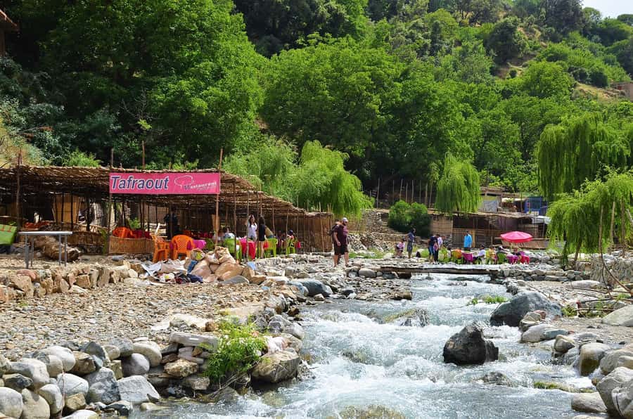 From Marrakech: Ourika Valley & Atlas Mountains Waterfalls - The Argan Oil Cooperative and Berber Products